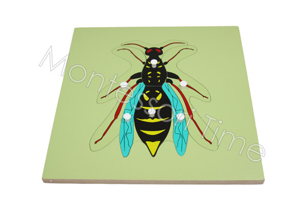 Wasp Puzzle